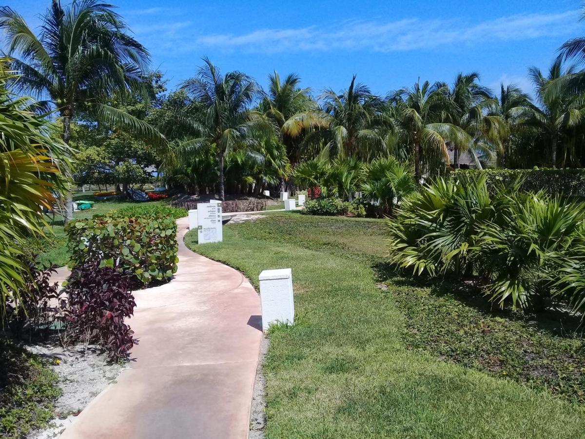Swim The Caribbean & Work With A View Cancún Exterior foto