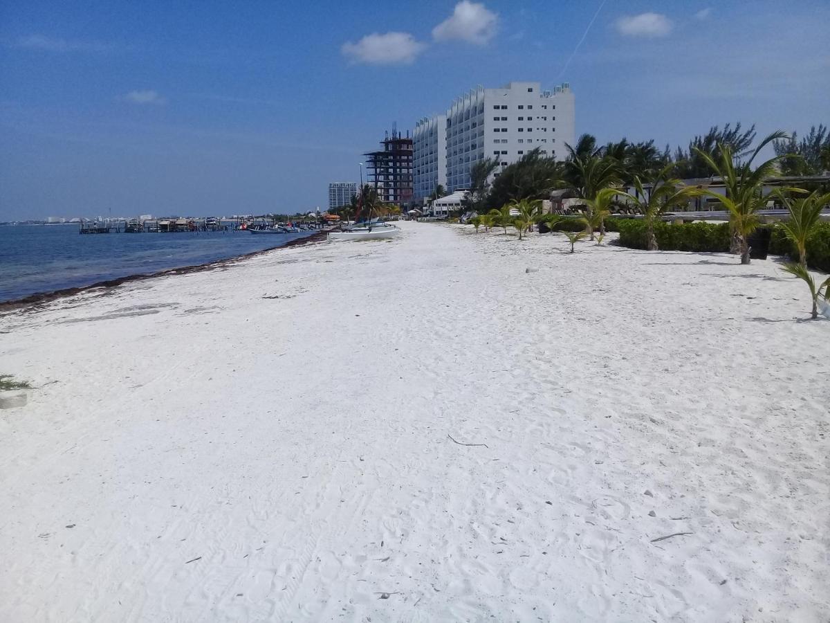 Swim The Caribbean & Work With A View Cancún Exterior foto