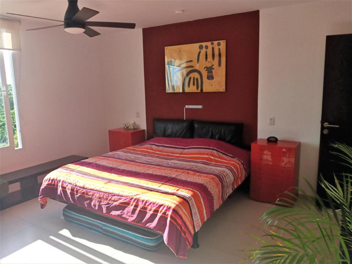 Swim The Caribbean & Work With A View Cancún Exterior foto