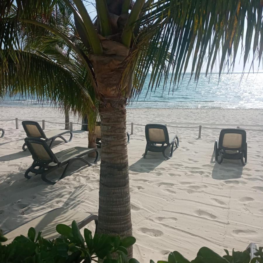 Swim The Caribbean & Work With A View Cancún Exterior foto